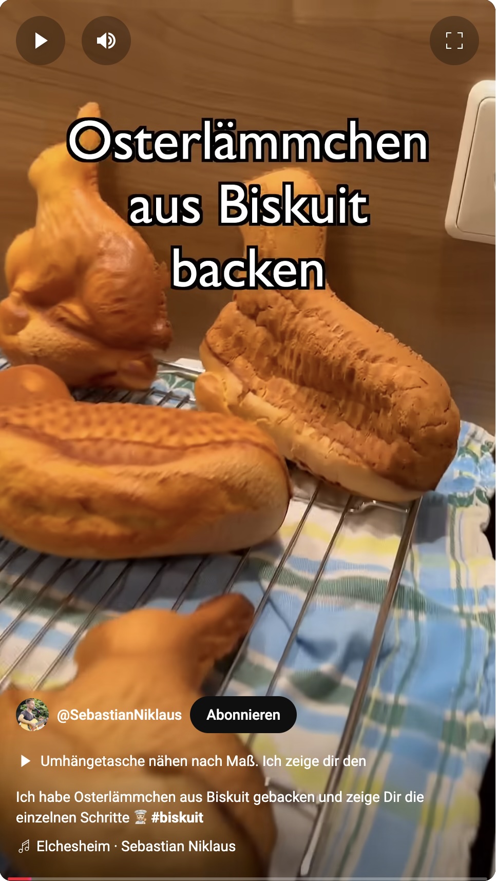 Osterlämmchen Backen Youtube Shorts Back Reel Video